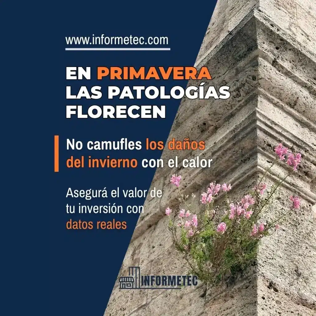 primavera-problemas-humedad-calor-informetec